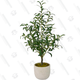 Image for article titled Save on Home Decor Basics at Bed Bath & Beyond’s Warehouse Sale